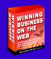 Winning Business on the Web